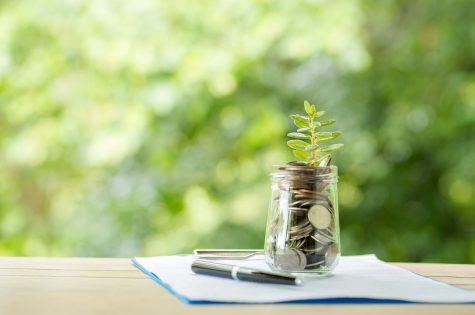 plant-growing-from-coins-glass-jar-blurred-nature